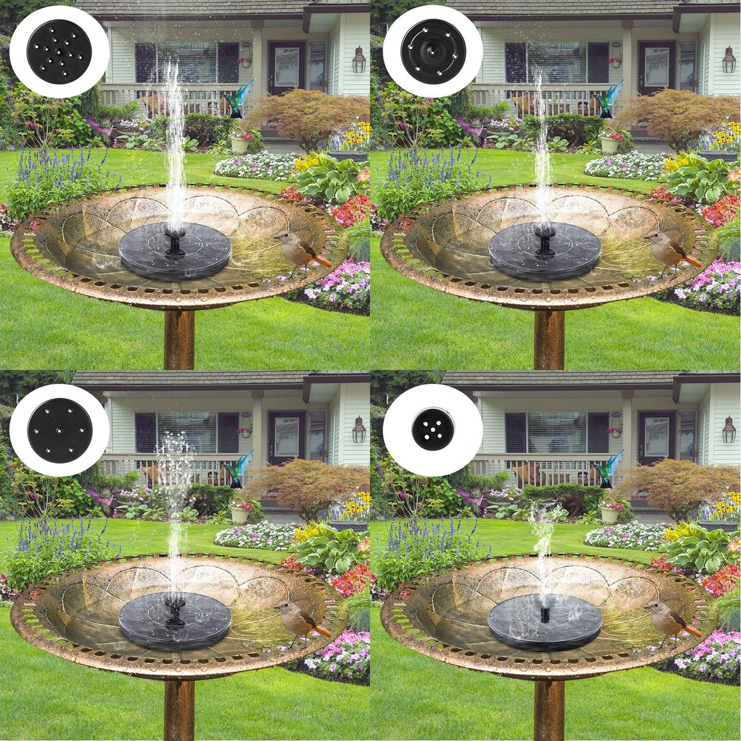 Solar Powered Bird Bath Fountain